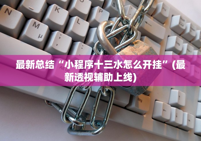 最新总结“小程序十三水怎么开挂”(最新透视辅助上线)