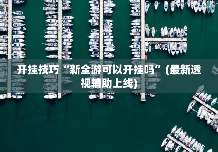 玩家必知“手机斗牛开挂神器下载苹果版”详细外挂辅助详细教程