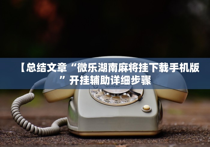 玩家辅助神器“麻将通用挂”开挂(透视)辅助神器