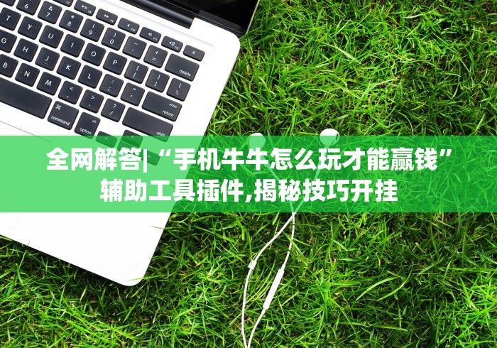 全网解答|“手机牛牛怎么玩才能赢钱”辅助工具插件,揭秘技巧开挂