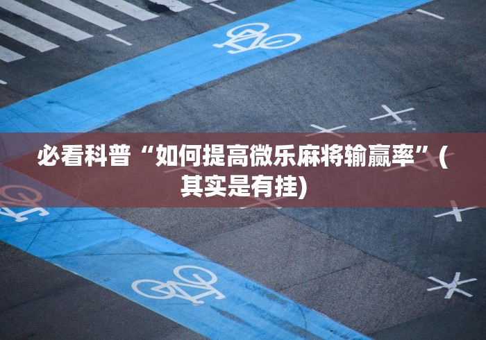 必看科普“如何提高微乐麻将输赢率	”(其实是有挂)