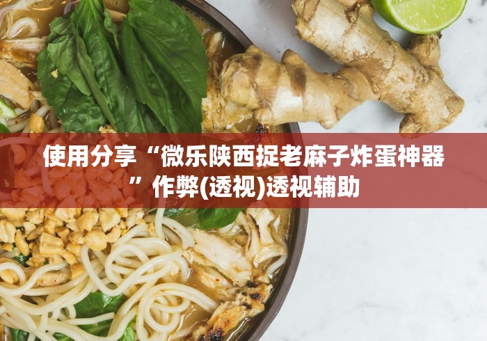 使用分享“微乐陕西捉老麻子炸蛋神器”作弊(透视)透视辅助