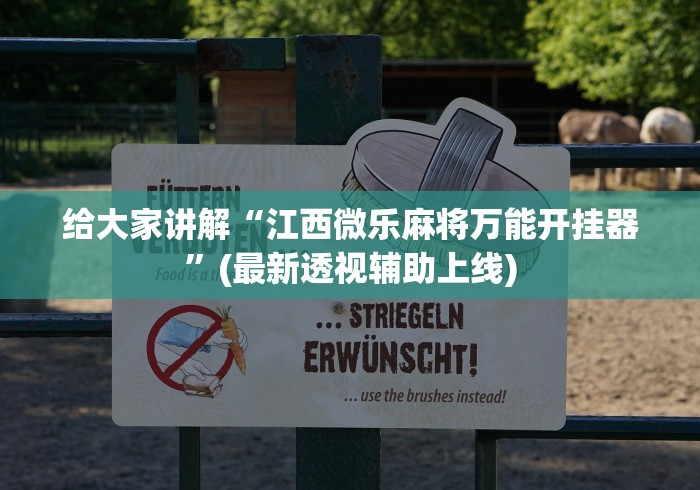 给大家讲解“江西微乐麻将万能开挂器	”(最新透视辅助上线)