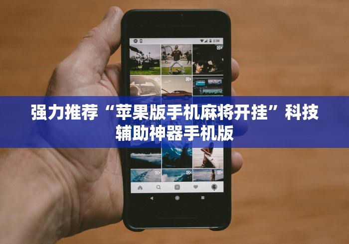 强力推荐“苹果版手机麻将开挂	”科技辅助神器手机版
