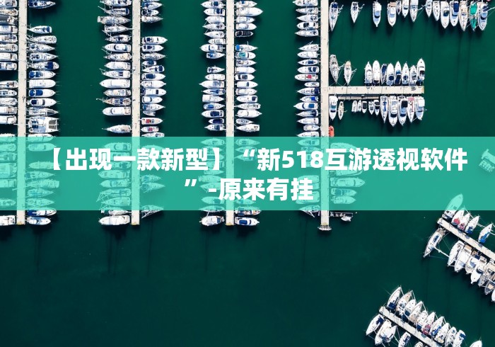 【出现一款新型】“新518互游透视软件”-原来有挂