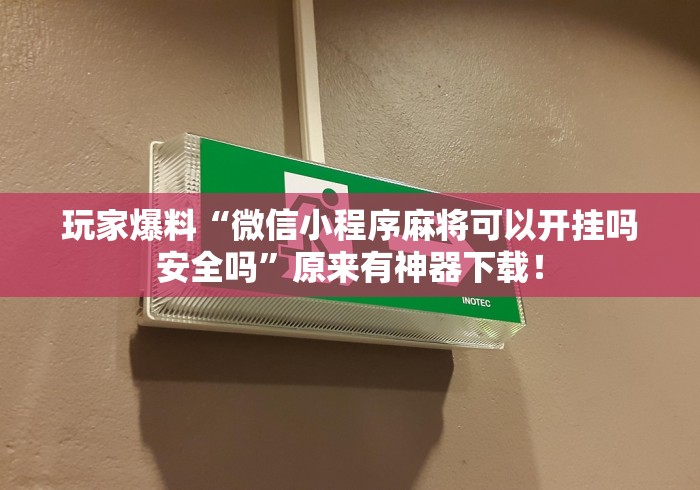 玩家爆料“微信小程序麻将可以开挂吗安全吗”原来有神器下载！