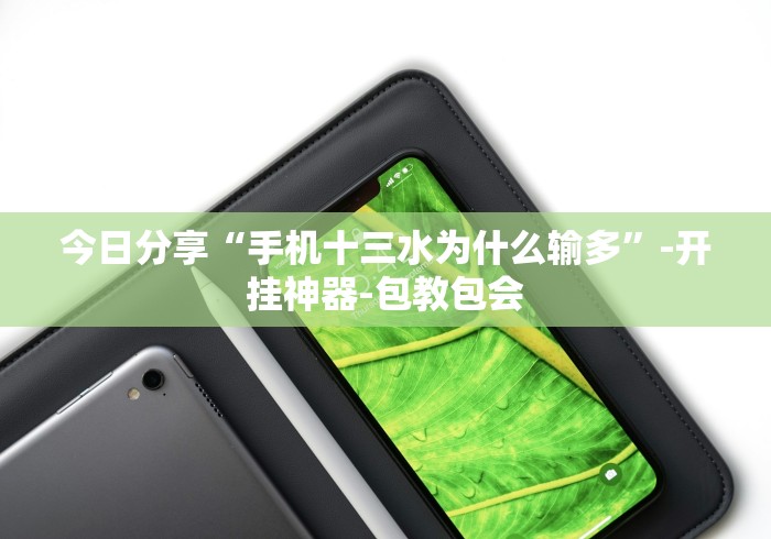 2026玩家推荐:海南麻将有什么技巧”(原来确实是有插件)