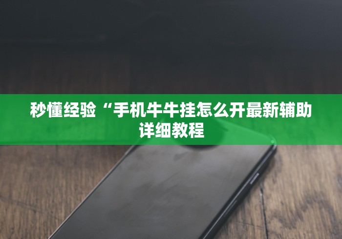 秒懂经验“手机牛牛挂怎么开最新辅助详细教程 秒懂经验“手机牛牛挂怎么开最新辅助详细教程