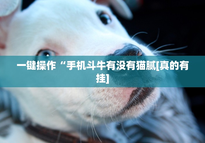 一键操作“手机斗牛有没有猫腻[真的有挂]