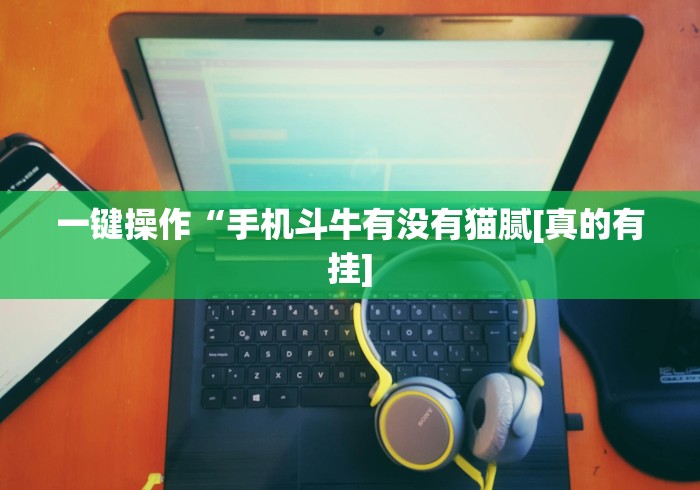 [教程经验]“微乐陕西麻将有没有规律(详细真的有挂)-知乎