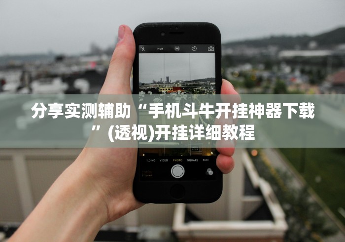 分享实测辅助“手机斗牛开挂神器下载”(透视)开挂详细教程