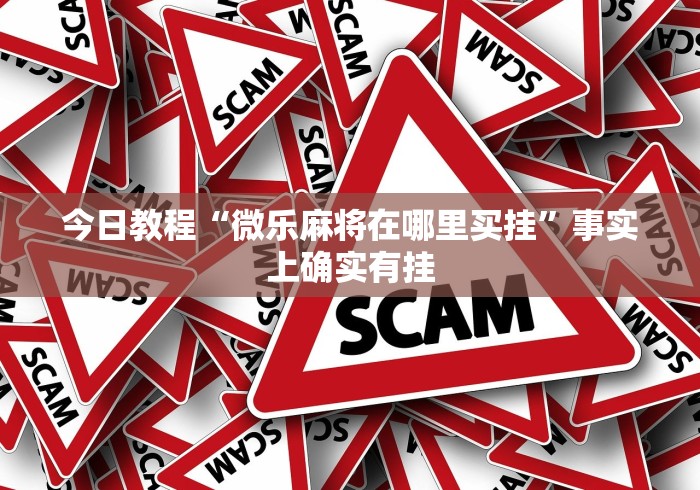 今日教程“微乐麻将在哪里买挂	”事实上确实有挂