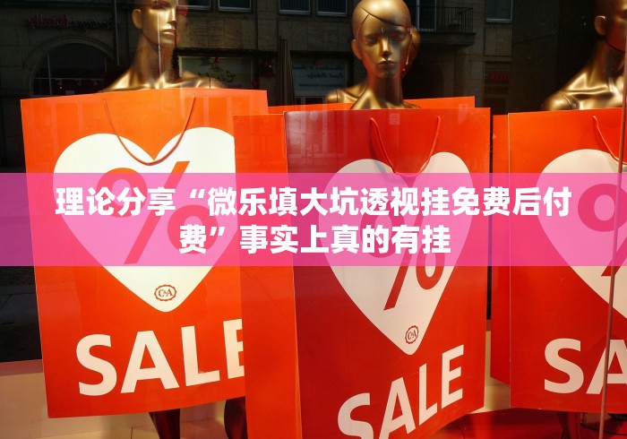 理论分享“微乐填大坑透视挂免费后付费”事实上真的有挂