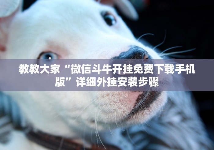 独家实测“链接拼三张开挂透视”辅助透视教程