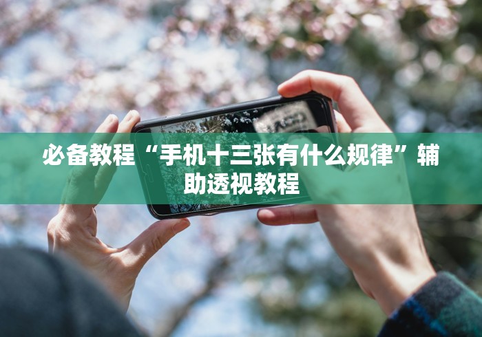 必备教程“手机十三张有什么规律”辅助透视教程