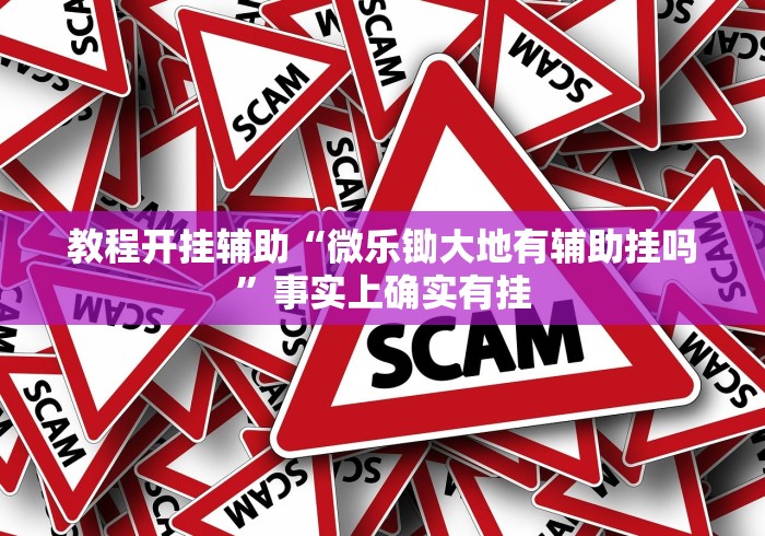 教程开挂辅助“微乐锄大地有辅助挂吗”事实上确实有挂