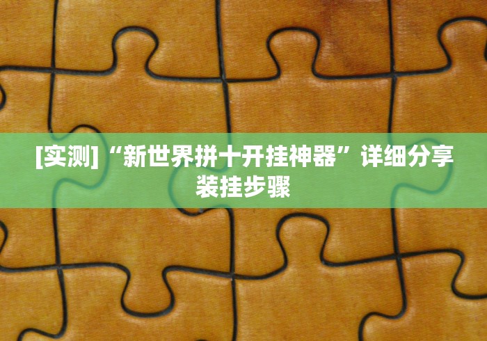 [实测]“新世界拼十开挂神器”详细分享装挂步骤