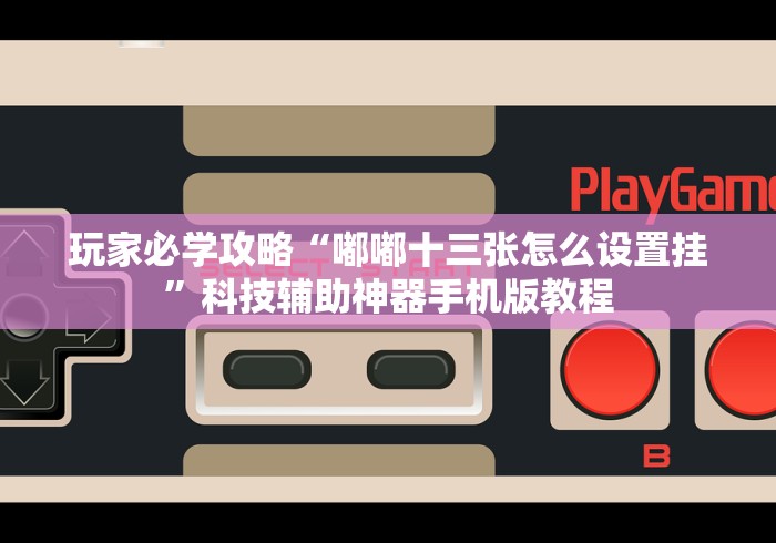 玩家必学攻略“嘟嘟十三张怎么设置挂	”科技辅助神器手机版教程