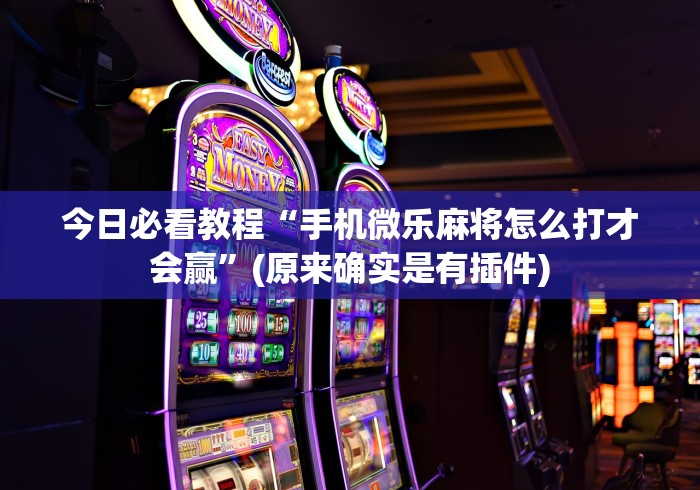 [实测]“赫麒众游开挂神器下载	”辅助挂下载