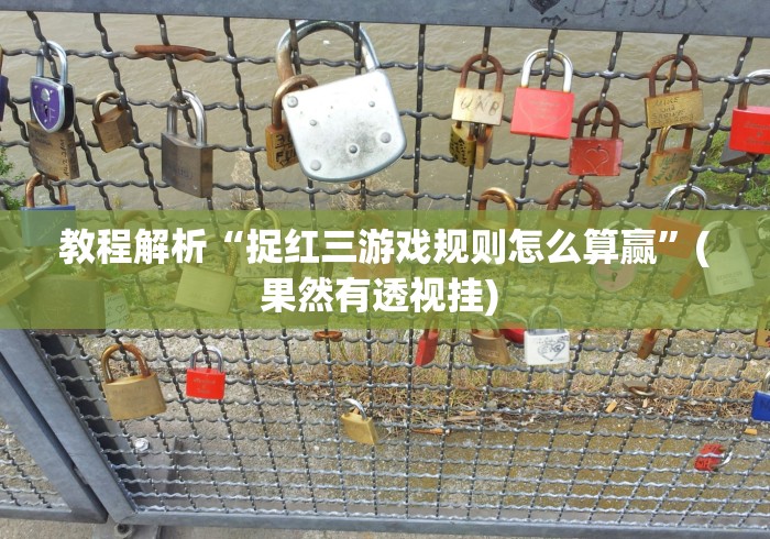 教程解析“捉红三游戏规则怎么算赢”(果然有透视挂) 