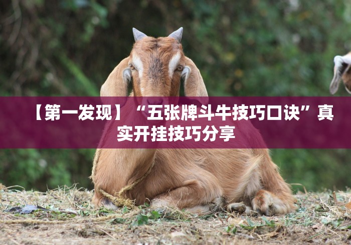 必备科技“微信微乐麻将怎么提高胜率”详细分享装挂步骤教程