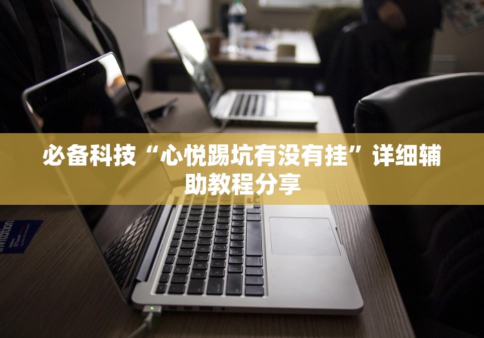 必备科技“心悦踢坑有没有挂	”详细辅助教程分享