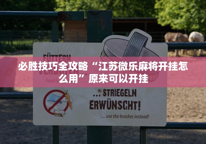 必胜技巧全攻略“江苏微乐麻将开挂怎么用”原来可以开挂