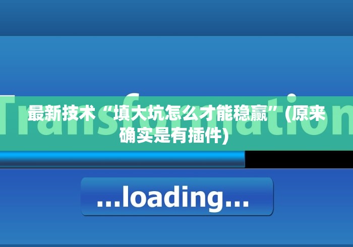 最新技术“填大坑怎么才能稳赢”(原来确实是有插件) 