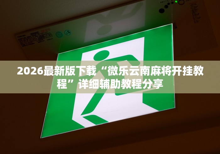最新教你“德扑之星透视挂方法”(透视)开挂详细教程