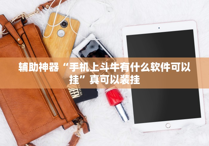 辅助神器“手机上斗牛有什么软件可以挂”真可以装挂