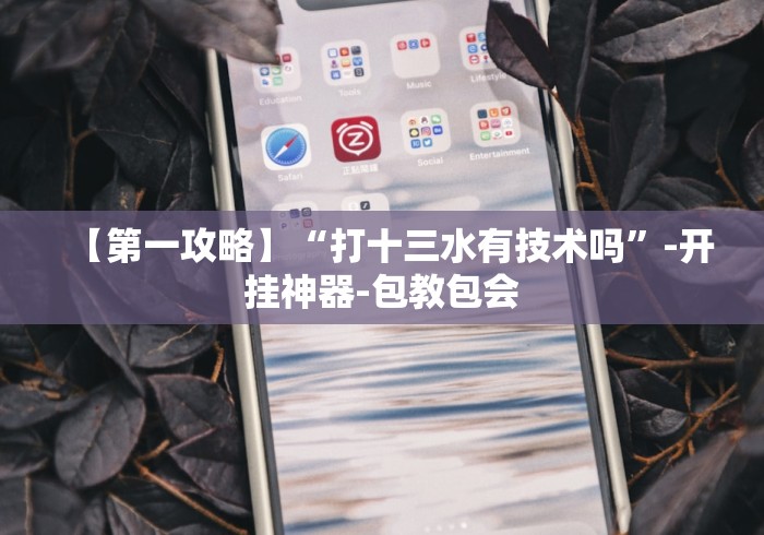 【第一攻略】“打十三水有技术吗	”-开挂神器-包教包会