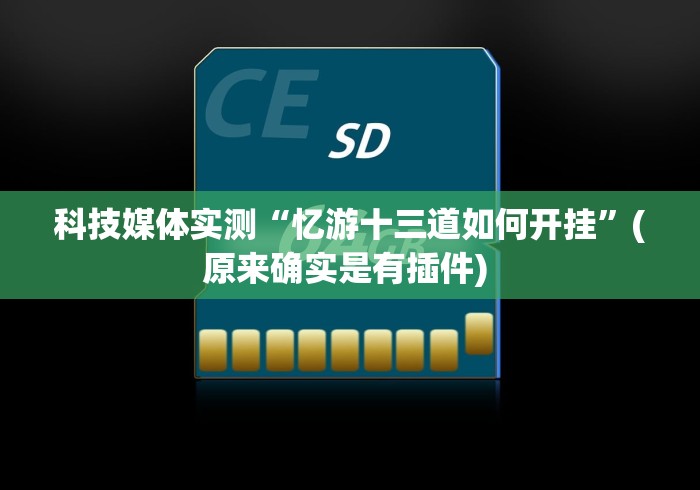 科技媒体实测“忆游十三道如何开挂”(原来确实是有插件) 