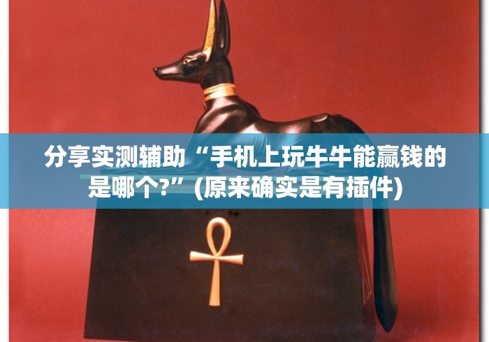 分享实测辅助“手机上玩牛牛能赢钱的是哪个?”(原来确实是有插件)