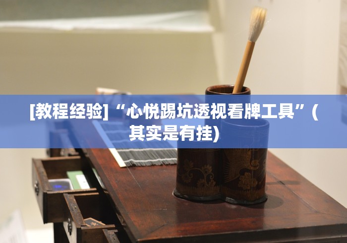[教程经验]“心悦踢坑透视看牌工具”(其实是有挂)