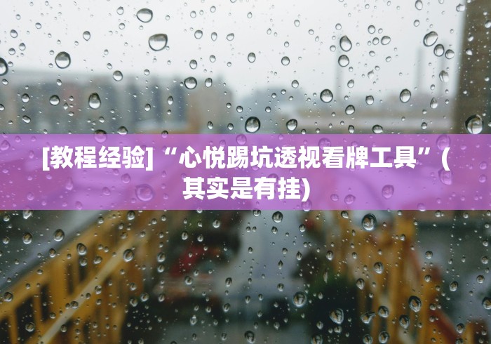 [教程经验]“心悦踢坑透视看牌工具”(其实是有挂)