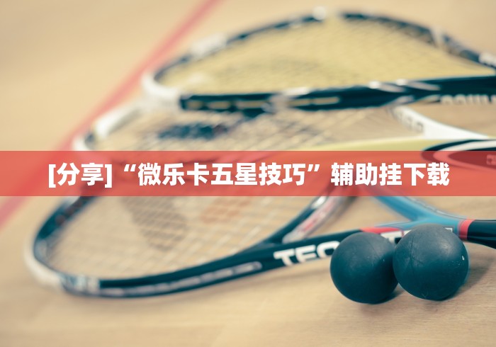 玩家辅助神器“微乐踢坑透视挂下载”辅助神器插件下载