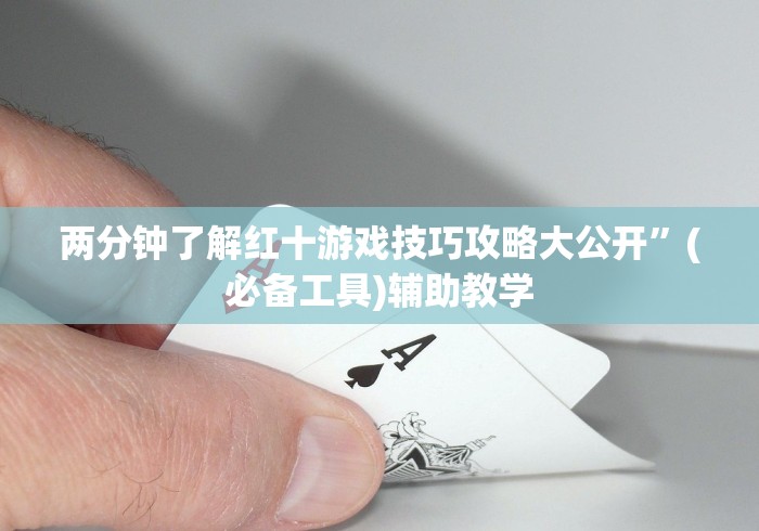 两分钟了解红十游戏技巧攻略大公开”(必备工具)辅助教学