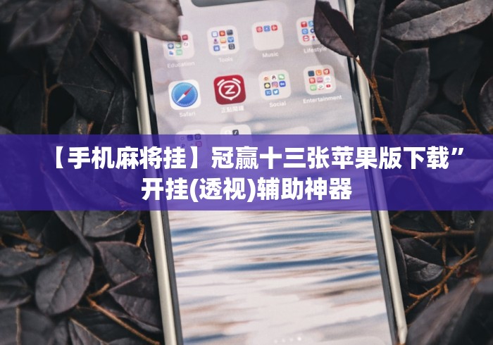 【手机麻将挂】冠赢十三张苹果版下载	”开挂(透视)辅助神器