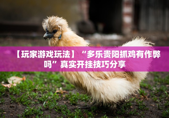 【玩家游戏玩法】“多乐贵阳抓鸡有作弊吗”真实开挂技巧分享