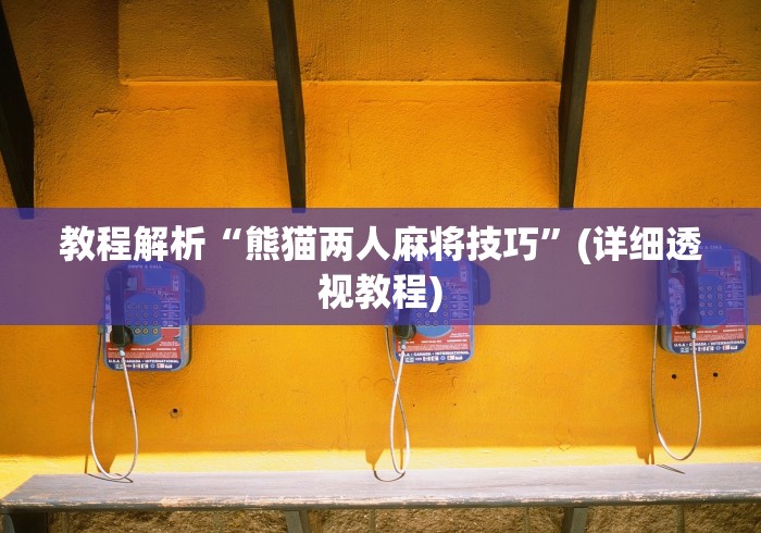 教程解析“熊猫两人麻将技巧”(详细透视教程)