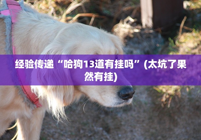 经验传递“哈狗13道有挂吗	”(太坑了果然有挂)