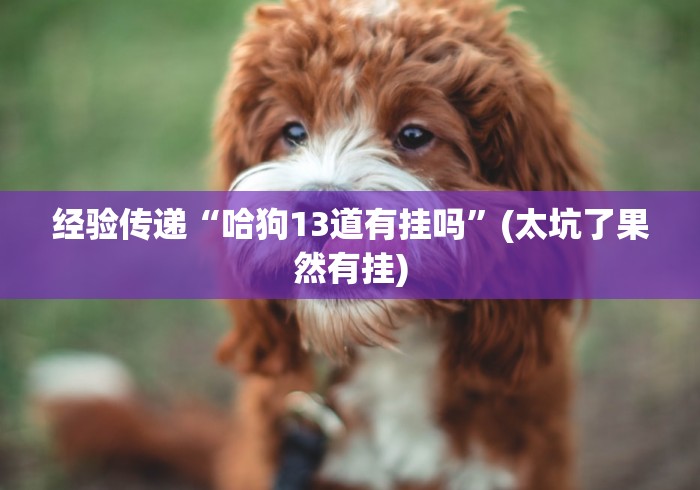 大家普及一下“胡乐麻将邯郸免费挂”(透视)开挂辅助脚本+详细开挂安装教程