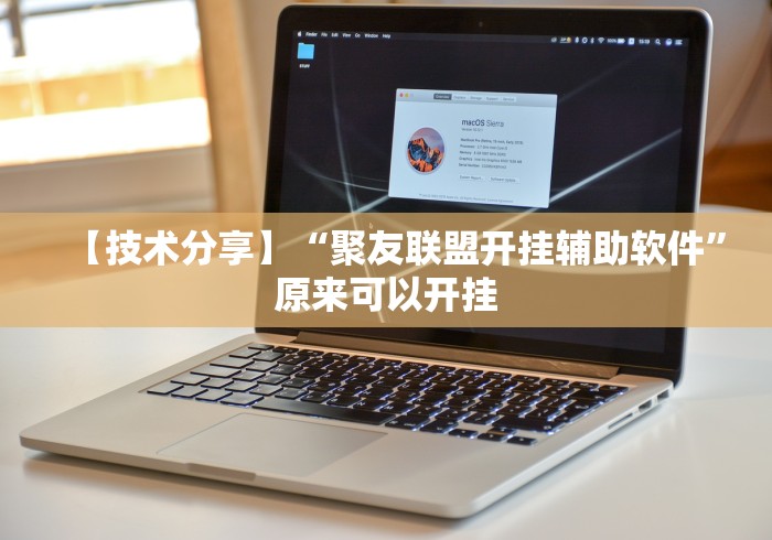 【第一攻略】“微乐保皇挂”开挂辅助软件教程