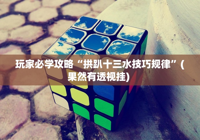 玩家必学攻略“拱趴十三水技巧规律”(果然有透视挂) 