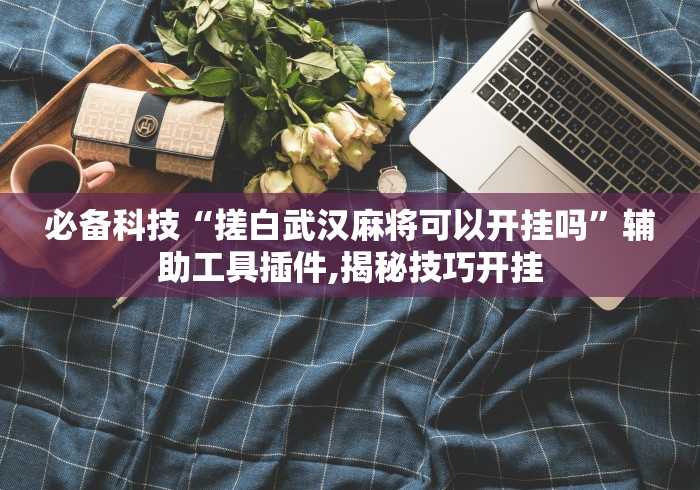 必备科技“搓白武汉麻将可以开挂吗”辅助工具插件,揭秘技巧开挂