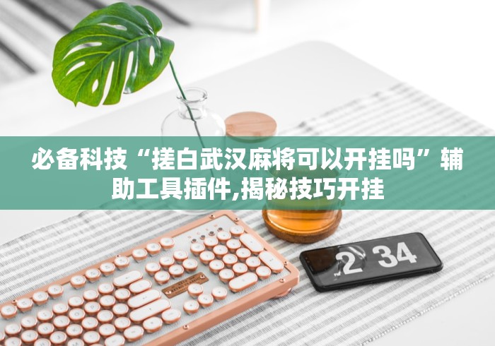 必备科技“搓白武汉麻将可以开挂吗	”辅助工具插件,揭秘技巧开挂