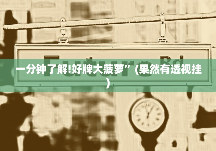 一分钟了解!好牌大菠萝”(果然有透视挂)