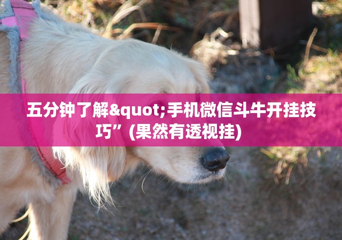 五分钟了解"手机微信斗牛开挂技巧	”(果然有透视挂) 
