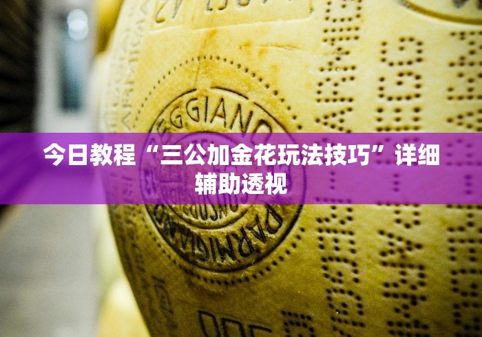 今日教程“三公加金花玩法技巧”详细辅助透视