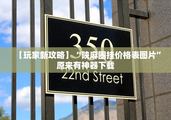 【玩家新攻略】“陕麻圈挂价格表图片”原来有神器下载